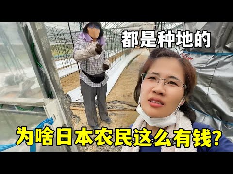 德约科维奇,因伤错过,年终总决赛,热博体育,体育博彩,体育投注,热博平台,体育赛事投注,热博官网