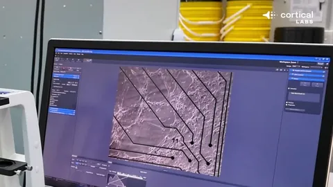 那不勒斯战胜米兰，榜首差距缩小至3分，卢卡库和约维奇破门，希门尼斯失点球未果。